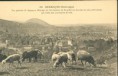 /album/la-boucle/a004-vue-generale-paturage-sur-les-hauteurs-de-bregille-jpg/